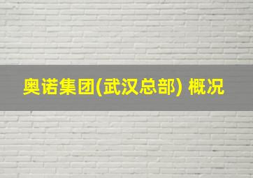 奥诺集团(武汉总部) 概况